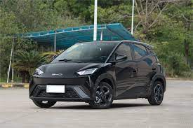 H-BYD SEAGULL VITALITY 2024