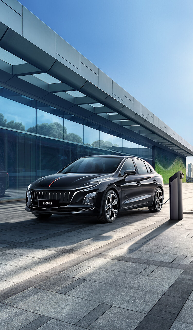 D-HONGQI EQM5 2024